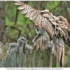 screenshot-2026-02-06-at-3-08-34-pm