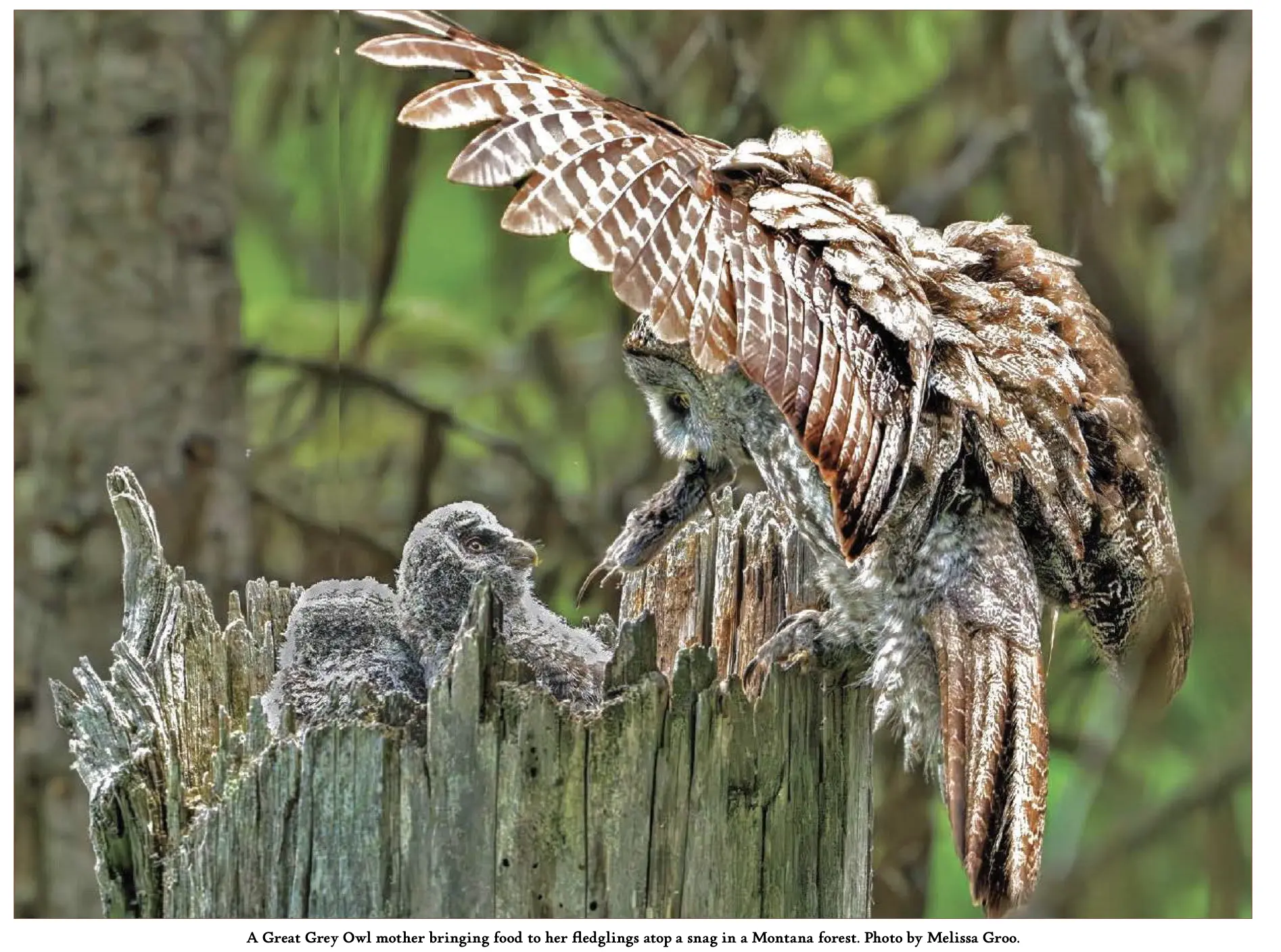 screenshot-2026-02-06-at-3-08-34-pm