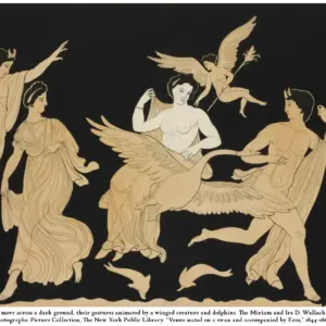 screenshot-2026-02-16-at-12-03-29-pm