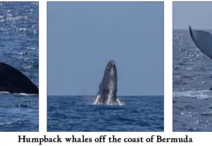 screenshot-2026-02-16-at-12-22-17-pm