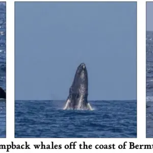 screenshot-2026-02-16-at-12-22-17-pm