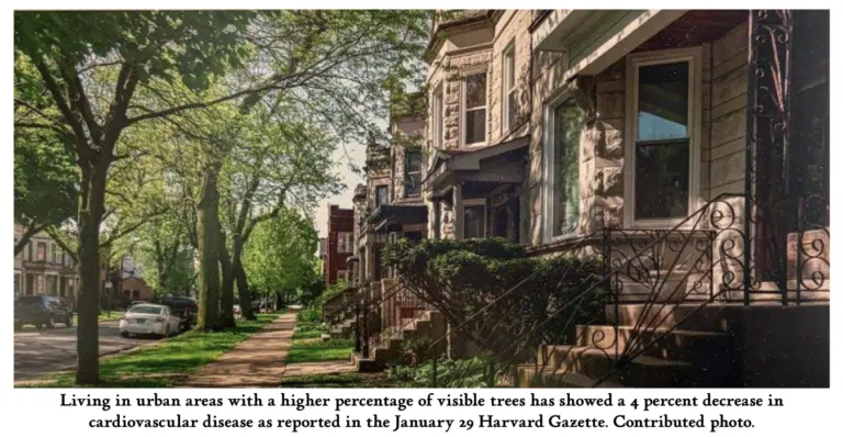 screenshot-2026-02-16-at-12-25-42-pm