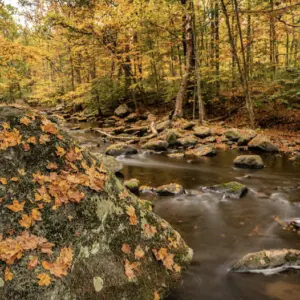 screenshot-2026-02-20-at-11-25-10-am