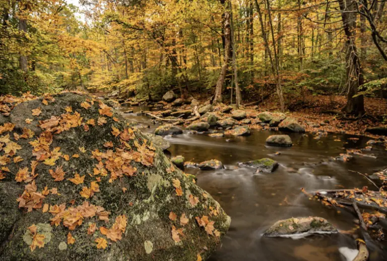 screenshot-2026-02-20-at-11-25-10-am