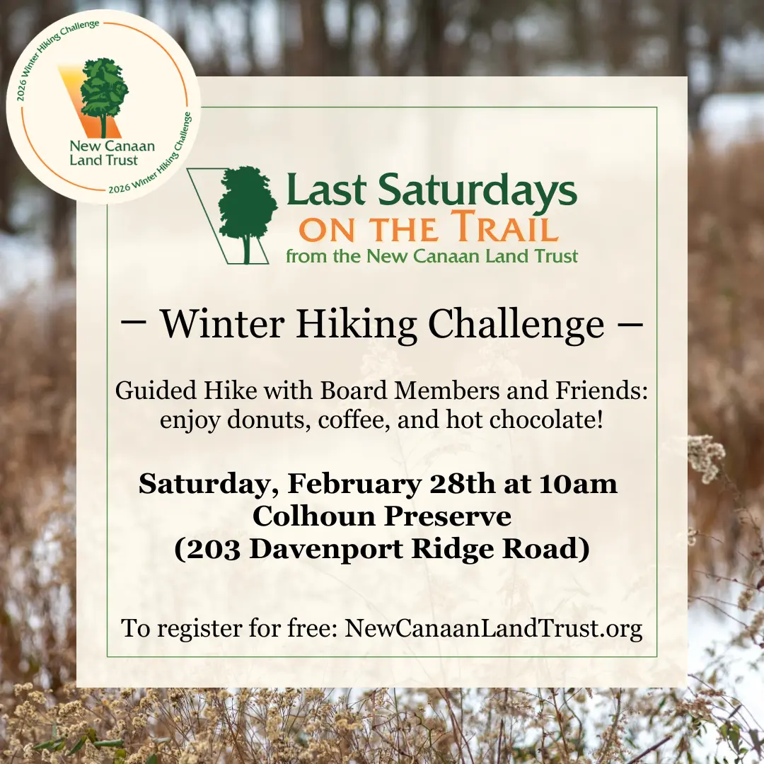 last-saturdays-on-the-trail