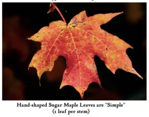 screenshot-2026-02-27-at-10-34-29-am