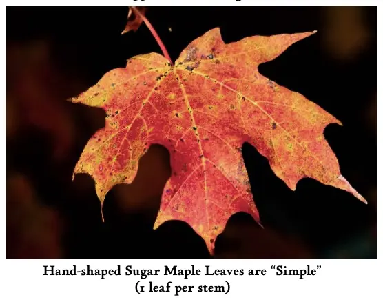 screenshot-2026-02-27-at-10-34-29-am