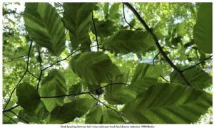 screenshot-2026-02-27-at-10-36-32-am