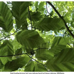 screenshot-2026-02-27-at-10-36-32-am