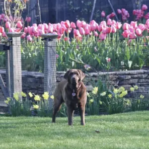 screenshot-2026-04-10-at-1-07-48-pm