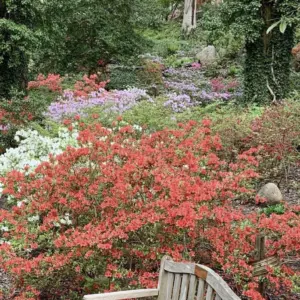 screenshot-2026-04-20-at-10-20-18-am