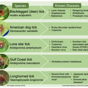 screenshot-2026-04-24-at-11-53-34-am-1