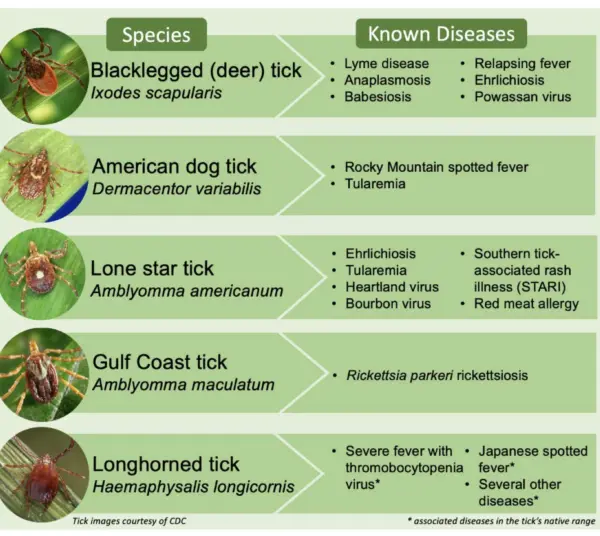 screenshot-2026-04-24-at-11-53-34-am-1