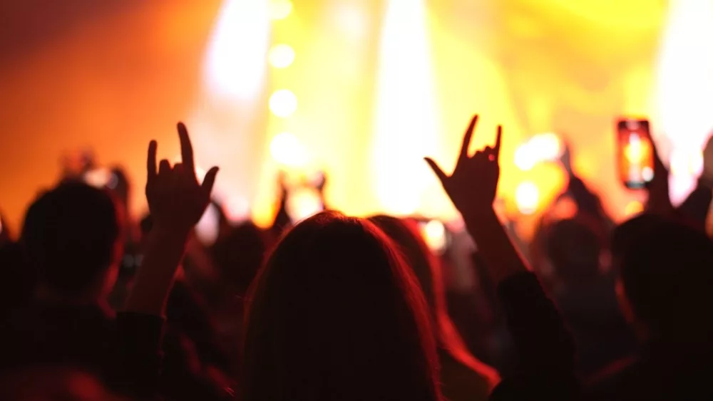 rock n roll gesture. Heavy metal hand up sign. music concert. crowd at concert