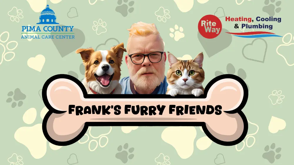 Franks Furry