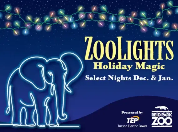 Tucson Zoolights