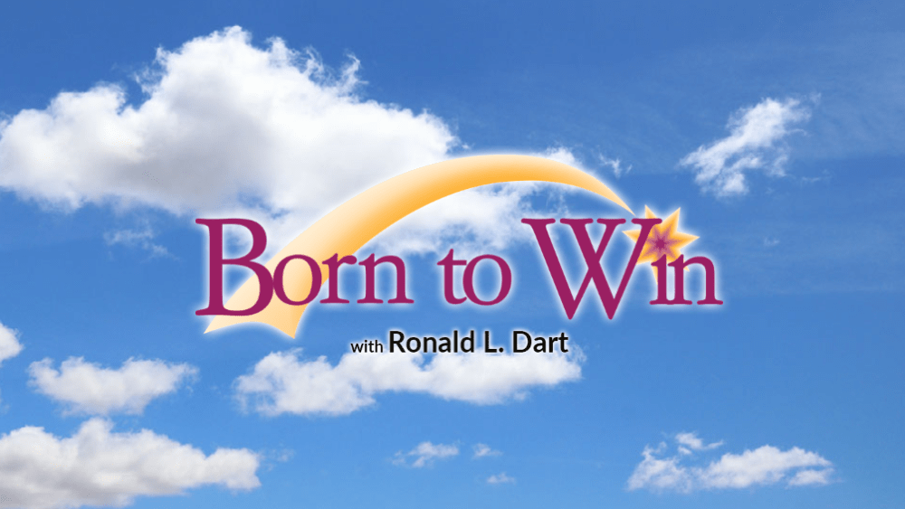 born-to-win-1-1
