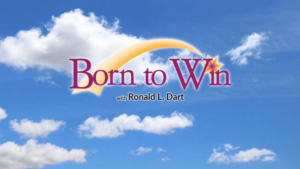 born-to-win-1-2