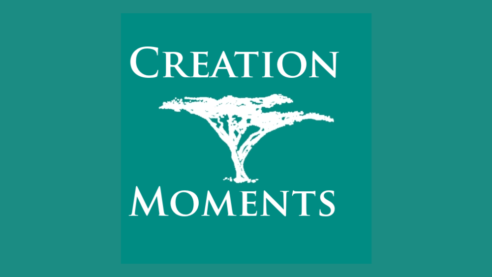 creation-moments-3