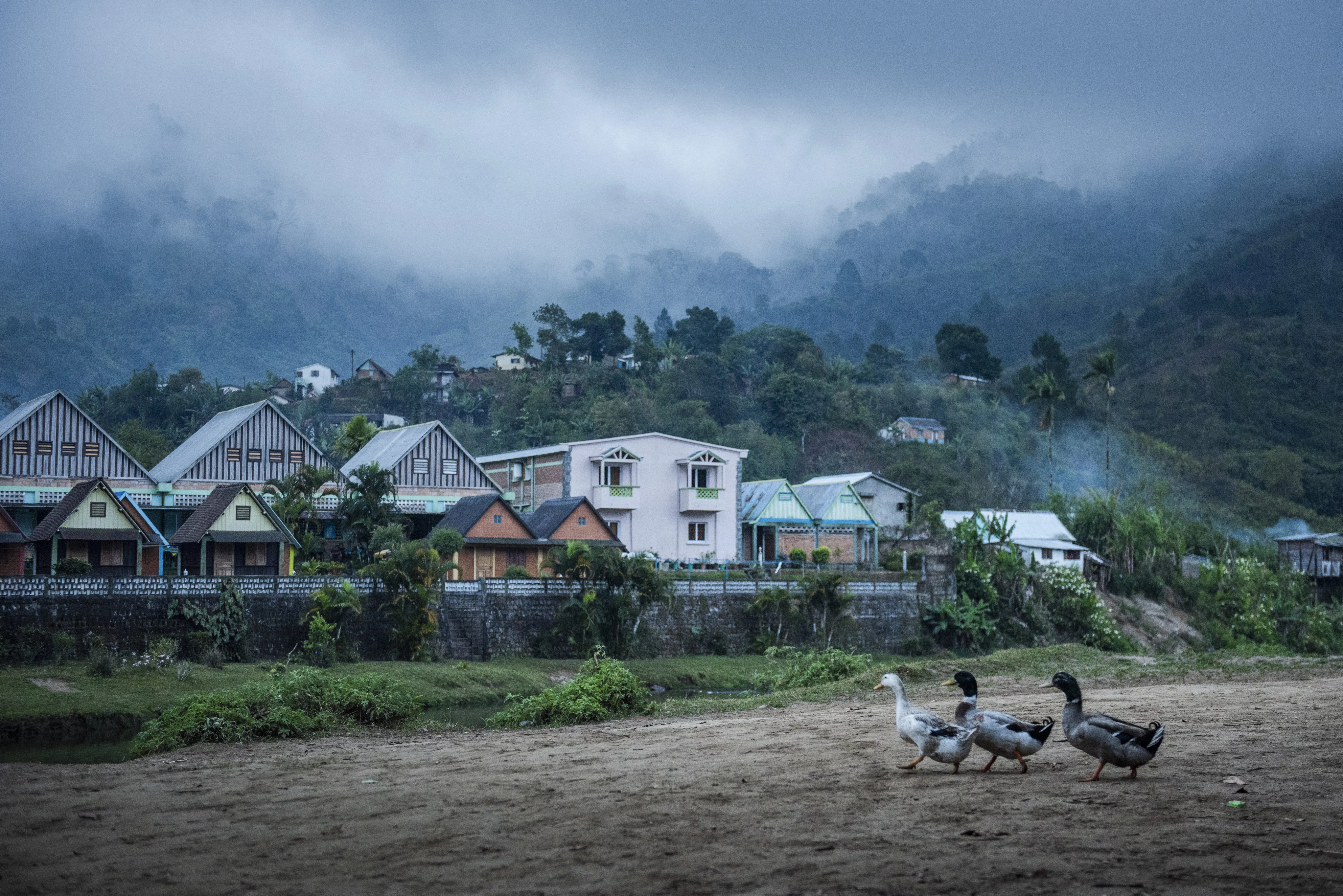 life-by-the-namorona-river-on-a-misty-morning-at-dawn-ranomafana-haute-matsiatra-region-madagasca