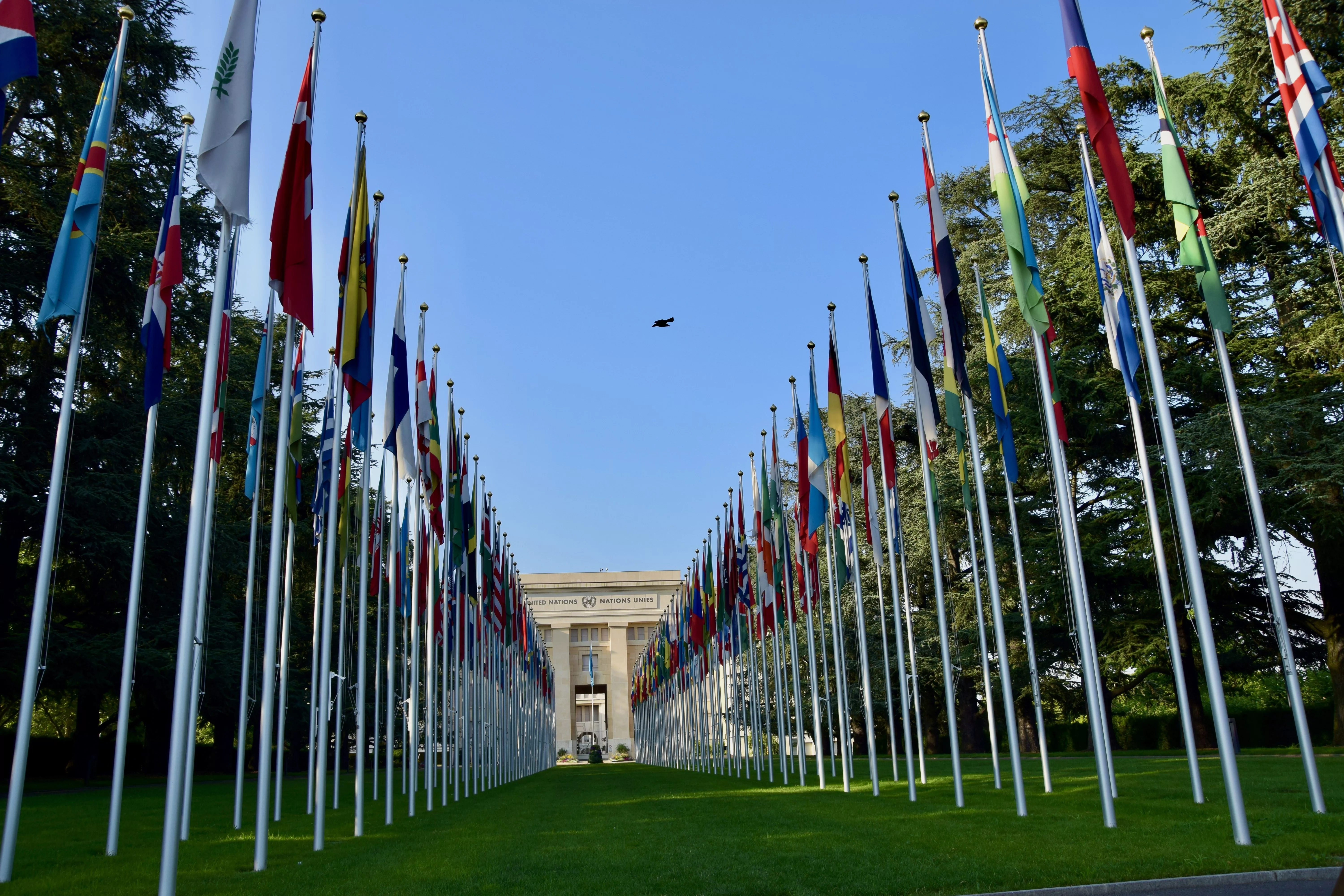 Ank gsx, CC BY-SA 4.0 , via Wikimedia Commons / https://upload.wikimedia.org/wikipedia/commons/d/de/United_Nations_Building%2C_Geneva_%28Ank_Kumar%29_08.jpg