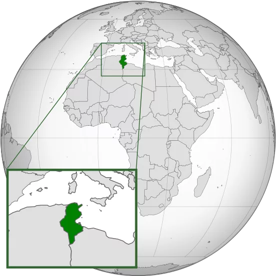 Habib M'henni, CC BY-SA 4.0 , via Wikimedia Commons