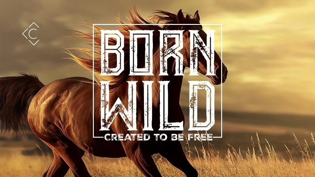 Born Wild Weekend