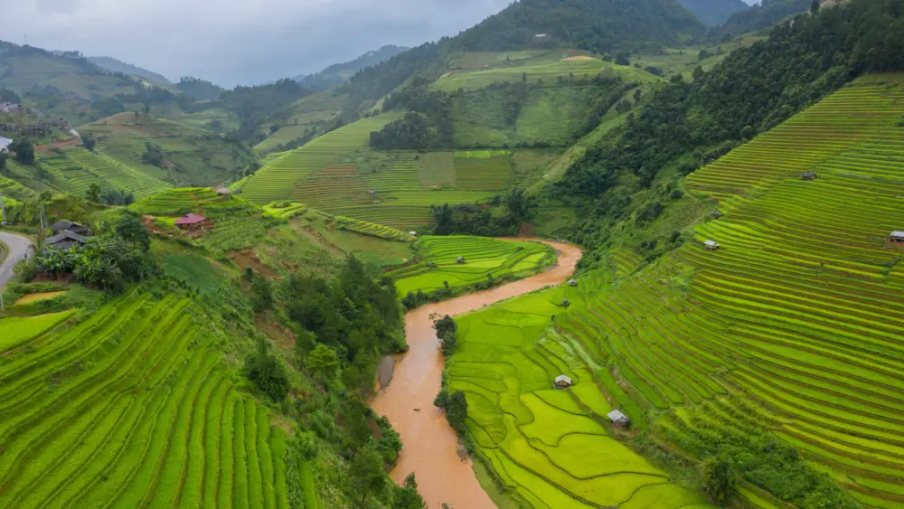 Vietnam / Envato Market