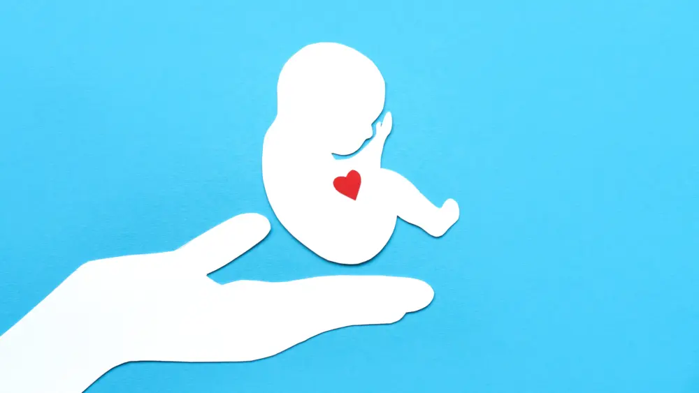 Abortion by mail / Envato Market