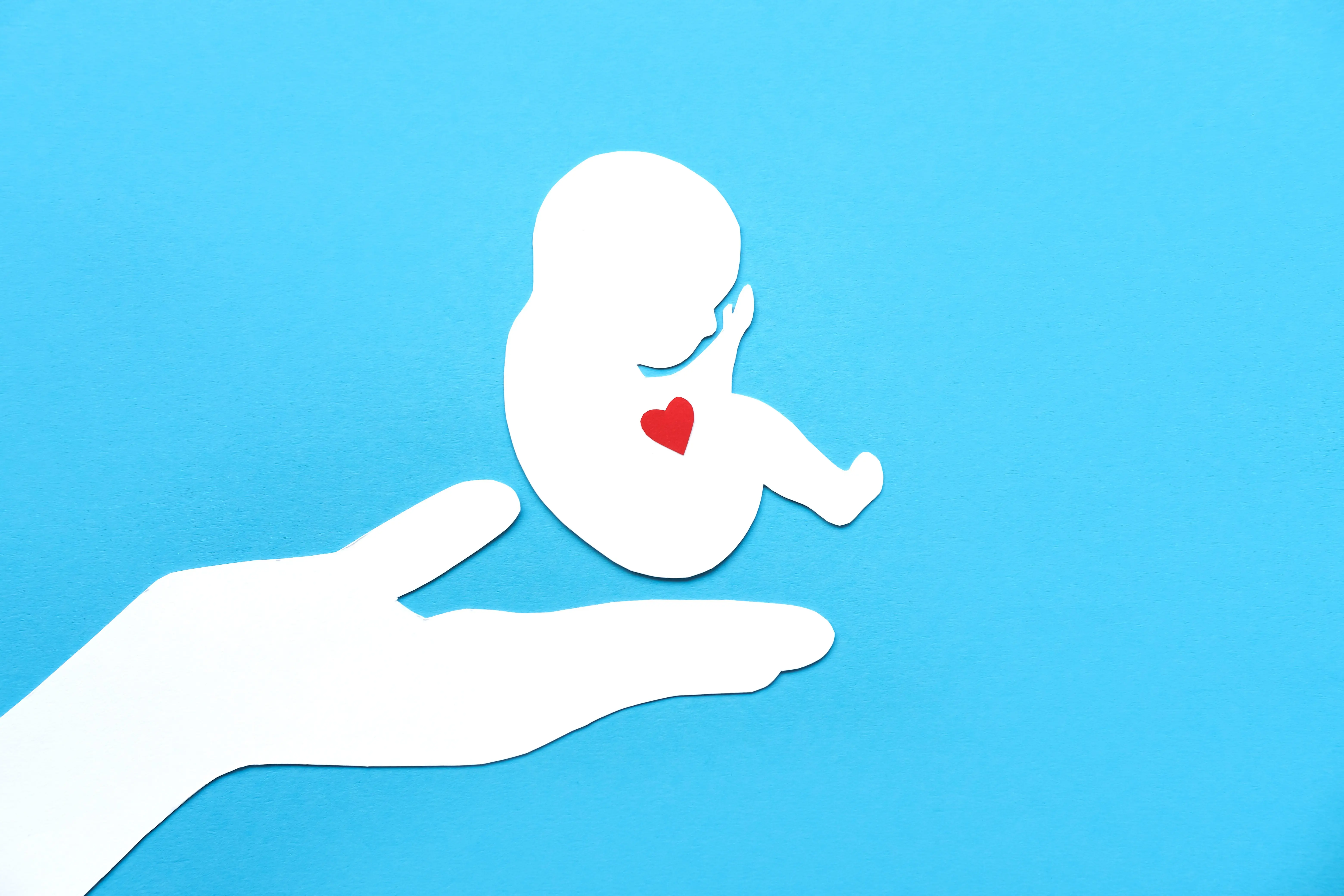Abortion by mail / Envato Market