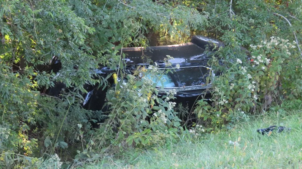 20230926045558_img_4345_copy_1000x561