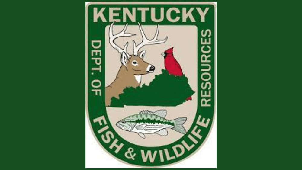 Todd County Offering Free Hunter Education Safety Course WEKT Ham   Untitled Design11 