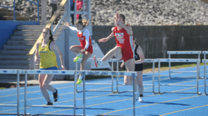 chamberlaine-track384037