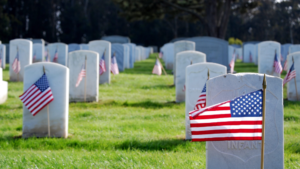 untitled-design17-34