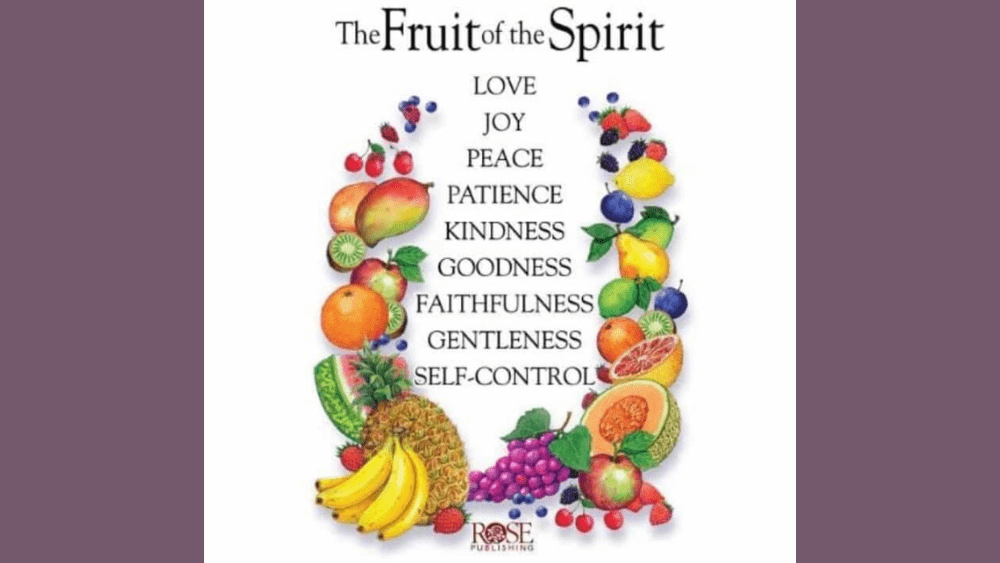 untitled-design18-29