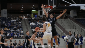 all-a-generic-pic333841