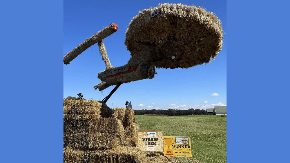 untitled-design18-48