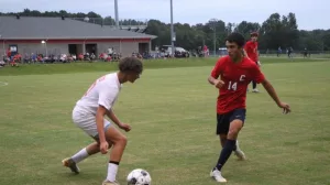 hop-cent-todd-cent-84-e172352183665577549