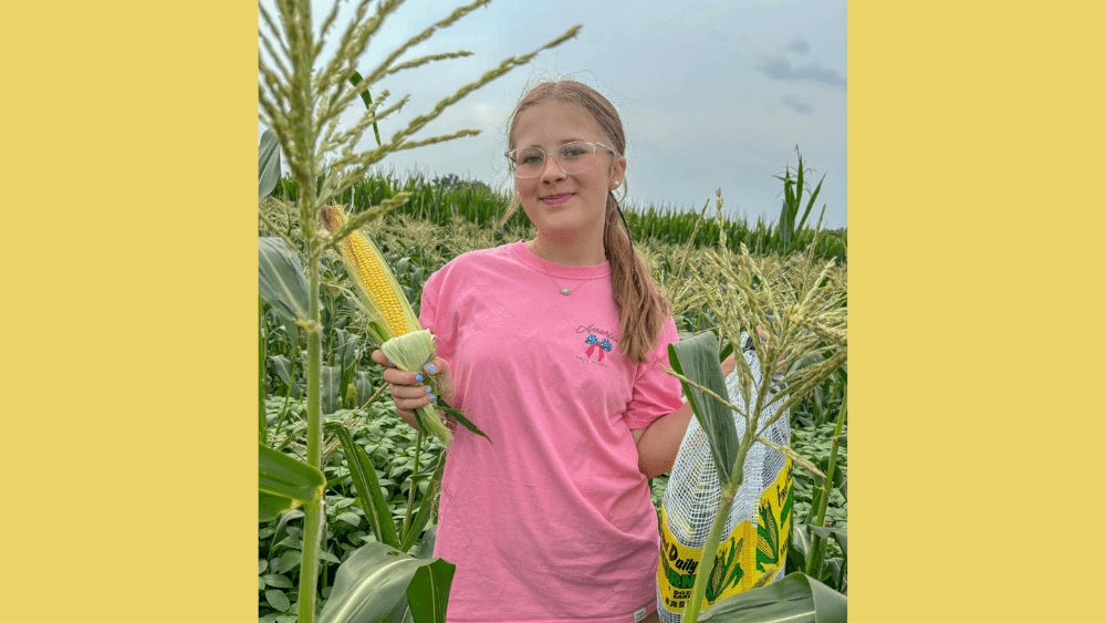 untitled-design18-51