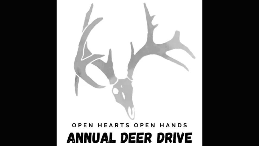 untitled-design18-copy-7