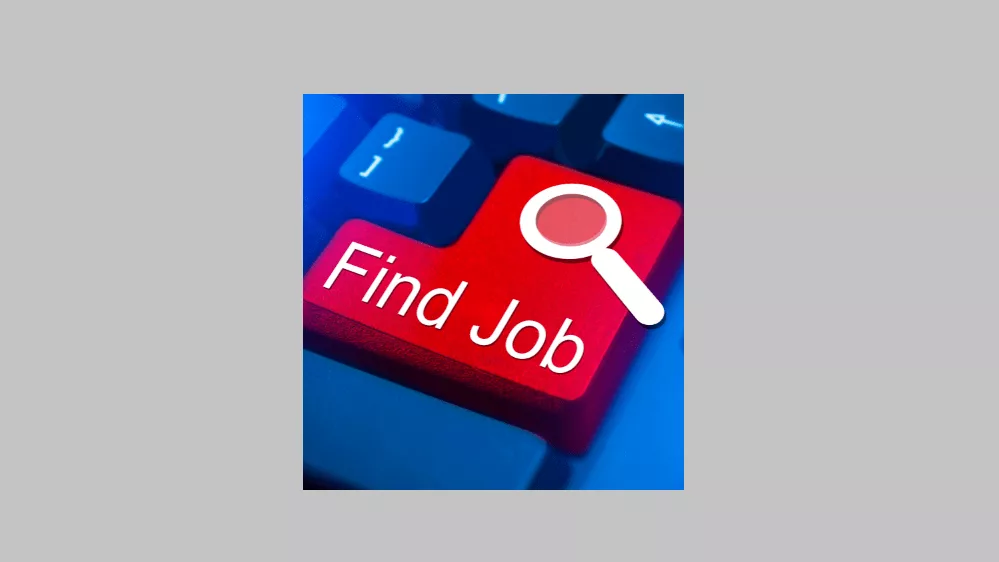 find-job-blue-and-gray-png-4