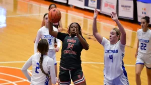 webp-net-resizeimage-2024-12-05t212629-730662415