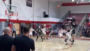 webp-net-resizeimage-2024-12-06t234907-847469658