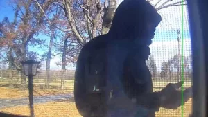 fb_img_1734109483194