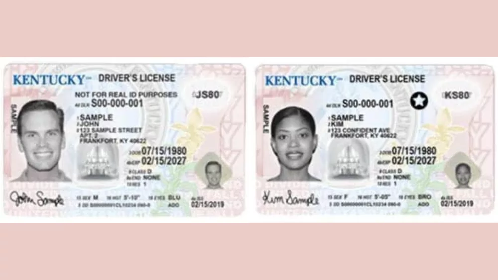 drivers-license