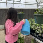 2025-tcchs-greenhouse-1
