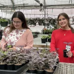 2025-tcchs-greenhouse-7