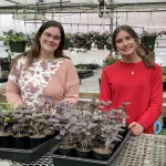 2025-tcchs-greenhouse-8