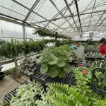 2025-tcchs-greenhouse-11