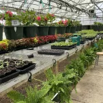 2025-tcchs-greenhouse-21